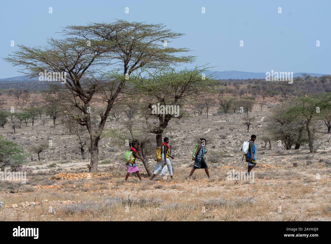 Samburu Frauen, die zu einem Dorf in Samburu in der Nähe des Samburu National Reserve in Kenia laufen. Stockfoto