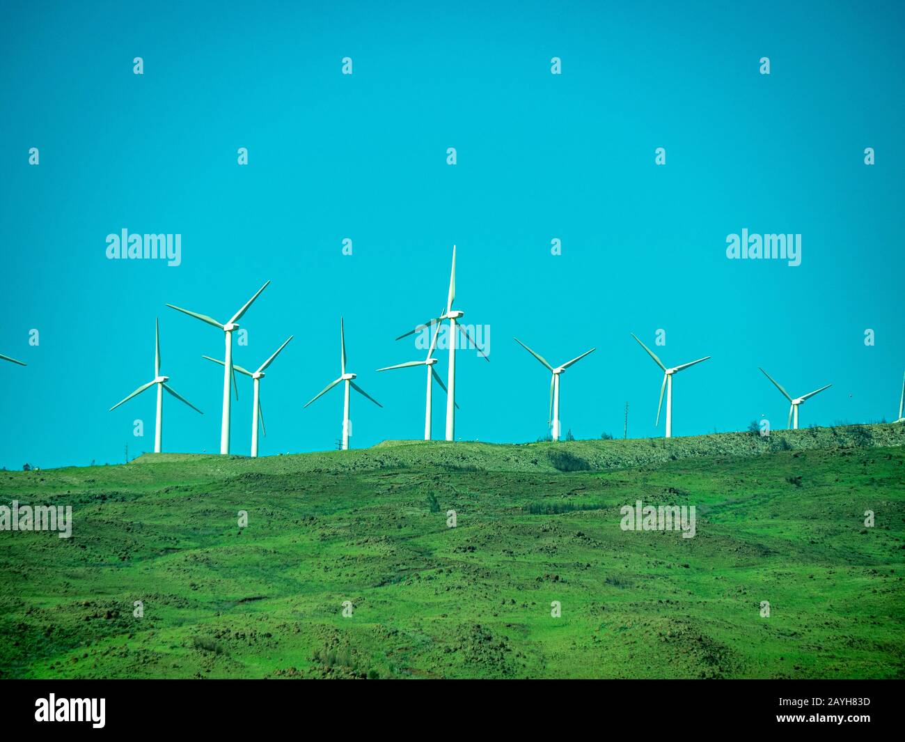 Windmühlen, die die globale Erwärmung und den Klimawandel bekämpfen, mit blauem Himmel und kopiertem Raum. Stockfoto