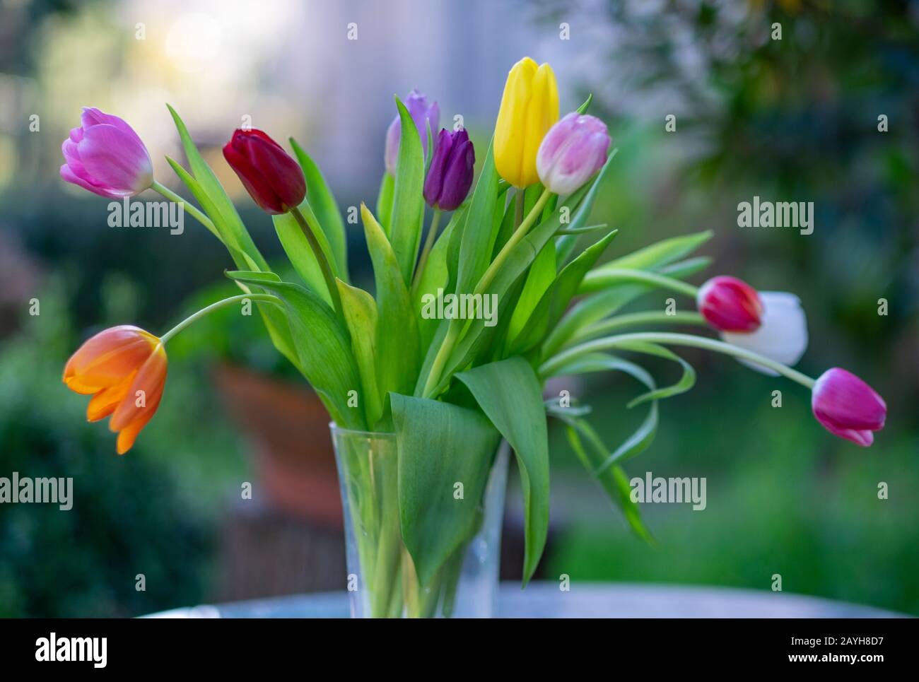 Frische Blumen. Außenhintergrund, Flaches Abfangen des Feldes. Stockfoto