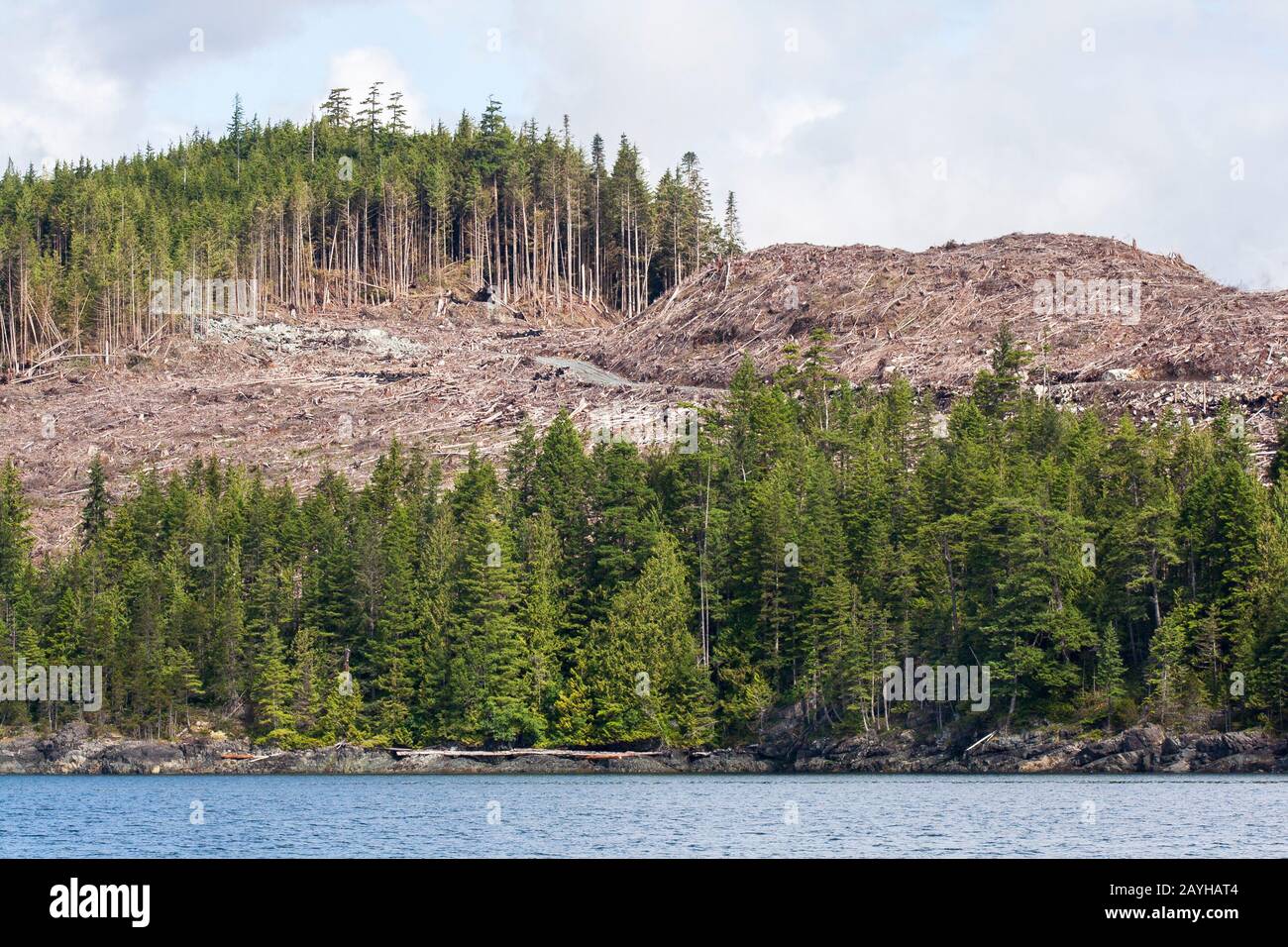 Eine Holzfällerstraße durchschneidet einen gut sichtbaren, mit umgestürzten Bäumen bewachsenen, klaren Wald an einem Hang in der Küste British Columbias (Blick auf den Meeresspiegel). Stockfoto