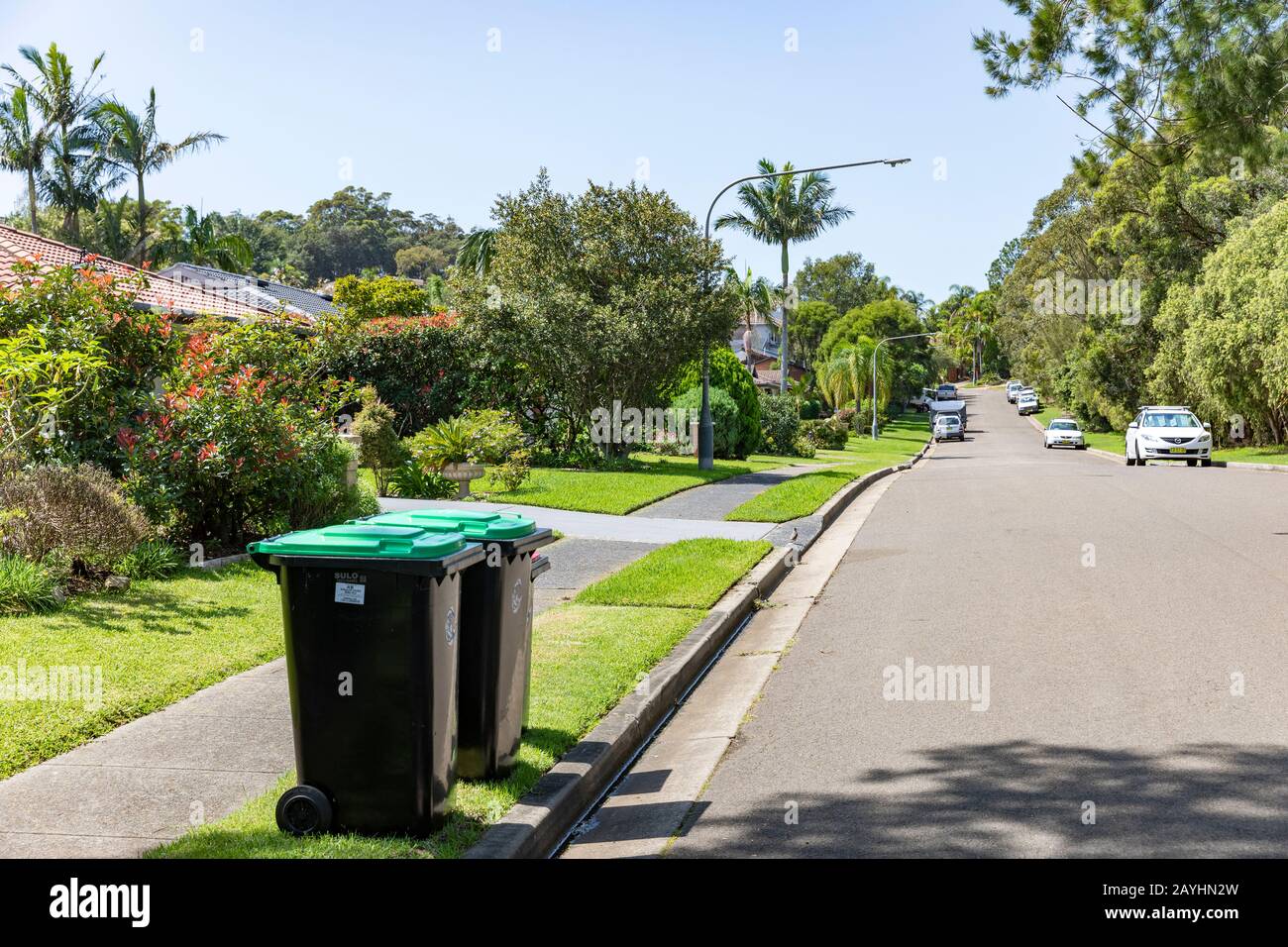 Australisches Haus und Garten mit Pflanzen und Gras im Sydney Vorort Mona Vale, New South Wales, Australien Stockfoto