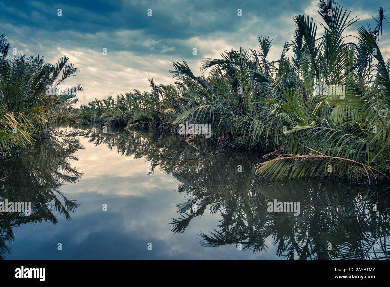 Malerische Lagune bei Sonnenuntergang in der Nähe von Tangalle, Sri Lanka. Fantastischer Blick auf die Lagune im Regenwald. Geheimnisvoller Fluss im Dschungel am Abend. Wunderschönes Tropi Stockfoto