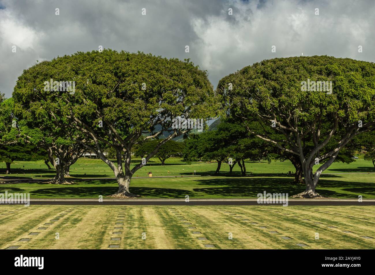 Oahu, Hawaii, USA. - 10. Januar 2012: Weitschuss über dem grünen National Memorial Cemetery of the Pacific mit grünem hawaiianischen Baum in der Mitte unter grauem cl Stockfoto