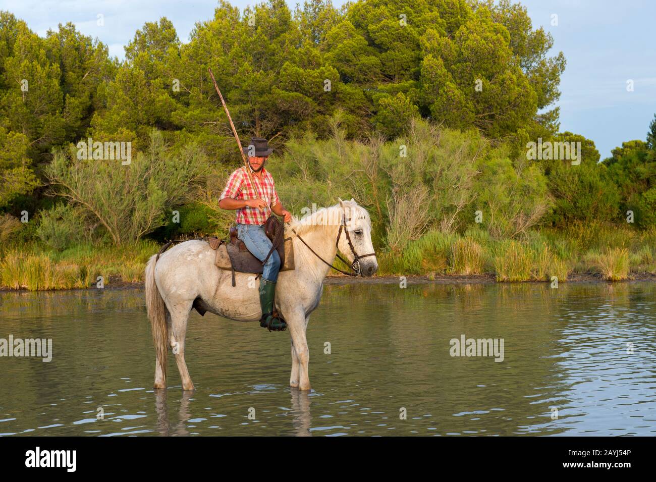 Ein Camargue Guardian (Camargue Cowboy) zu Pferd in einem Sumpf der Camargue in Südfrankreich. Stockfoto