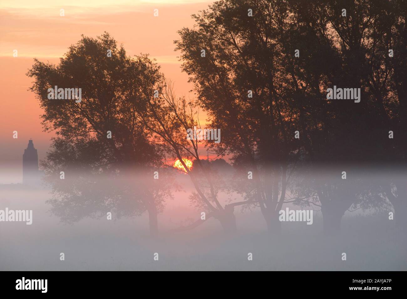 Langemeersen in Oudenaarde, Belgien, Ostflandern, Oudenaarde, Langemeersen Stockfoto
