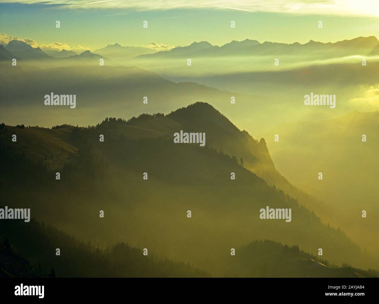 Schweizer Alpen im Morgennebel, Schweiz, Oberland Stockfoto