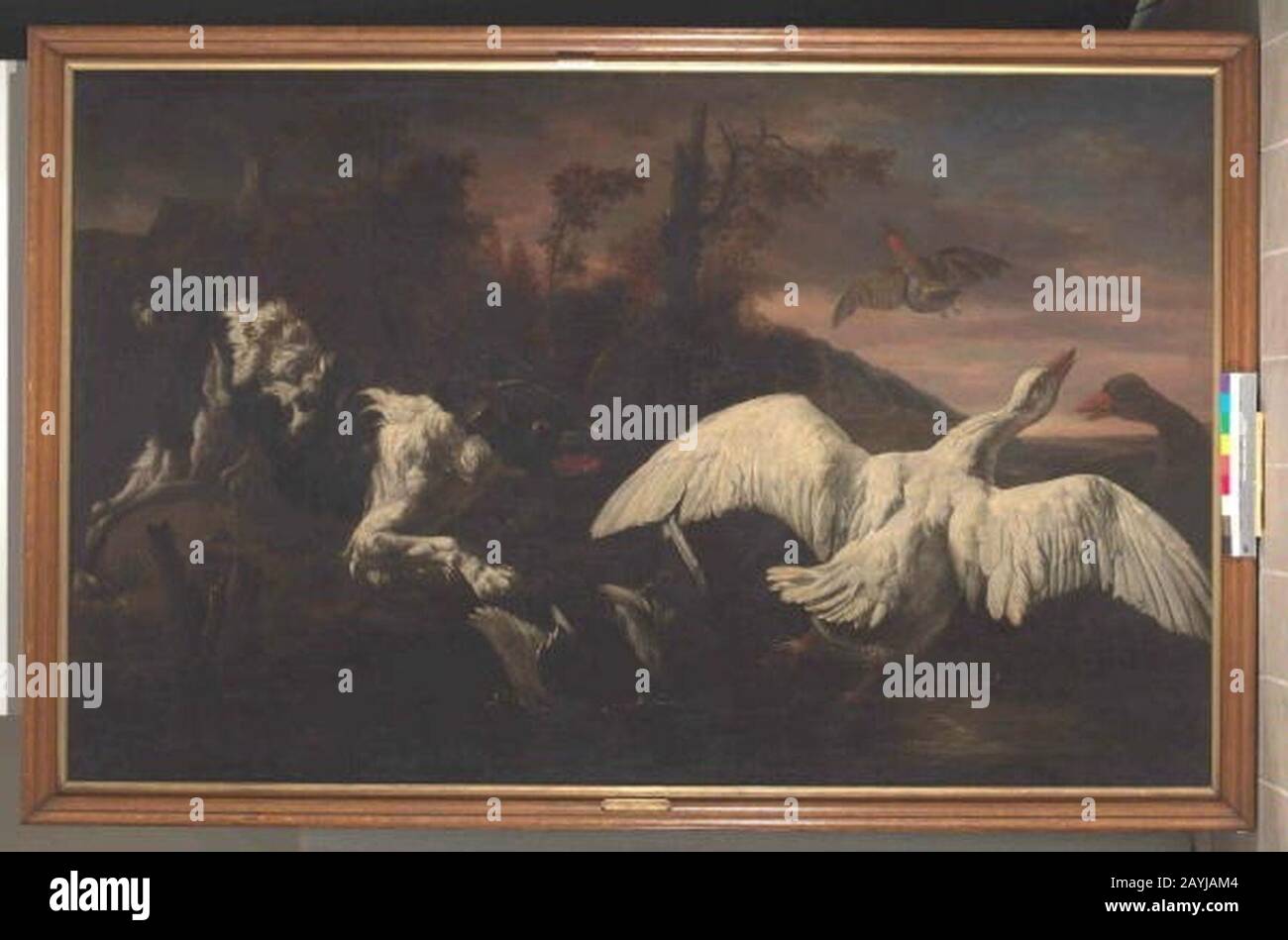 Franz Werner Tamm 6.3.1658-20.7.1724 - Pes prepadava vodni ptvo. Stockfoto