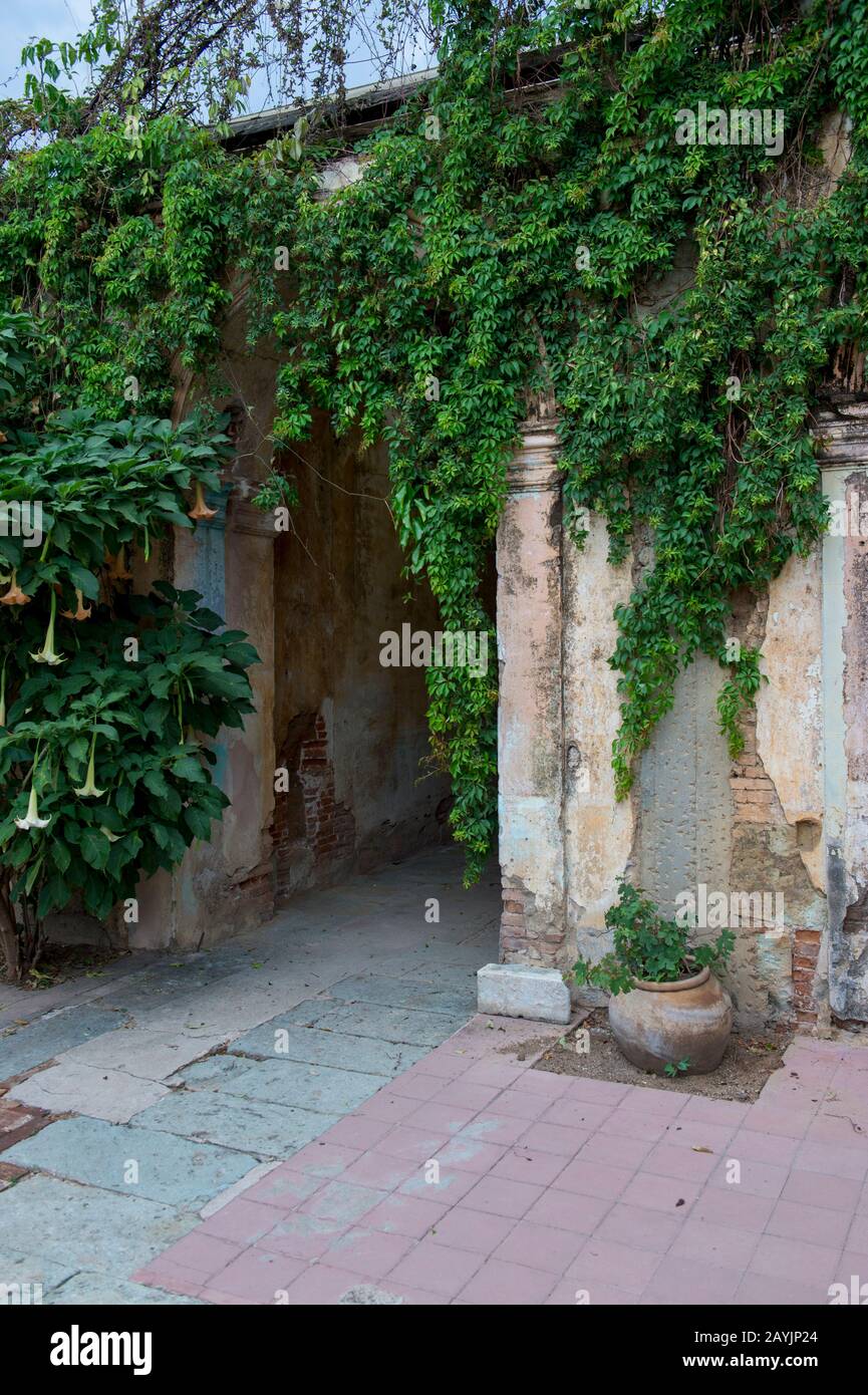 Eine Ruine eines alten Kolonialhauses in Oaxaca City, Mexiko. Stockfoto