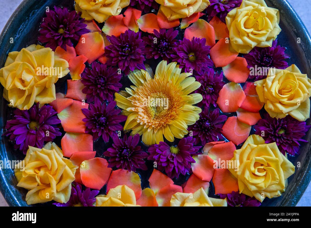 Blumen zur Dekoration, die in einer Schüssel in einer Kunstgalerie in Oaxaca City, Mexiko schweben. Stockfoto