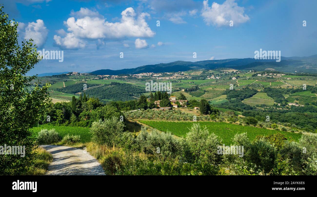 Weinbergen in der Landschaft des Chianti, Località La Piazza, Castellina in Chianti, in der Provinz von Siena, Toskana, Italien Stockfoto