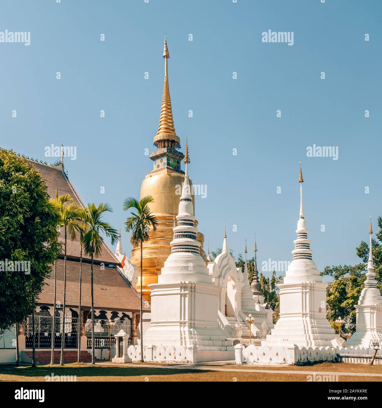 Wat Suan Dok Tempel in Chiang Mai, Thailand Stockfoto