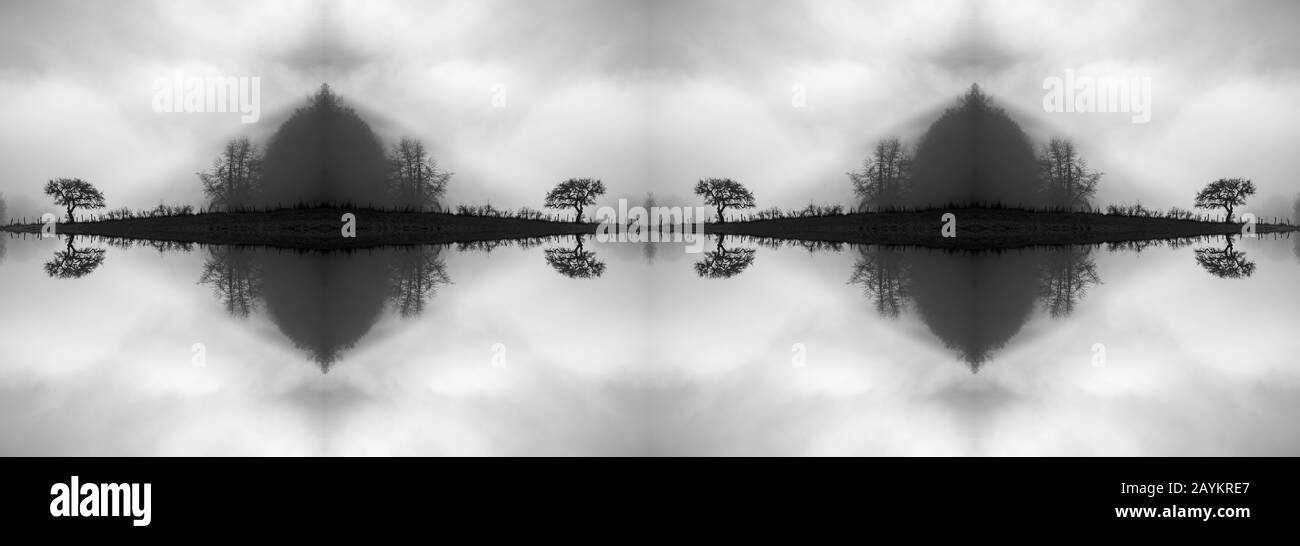 Gespiegelter Baum an einem trüben und nebligen Morgen Stockfoto