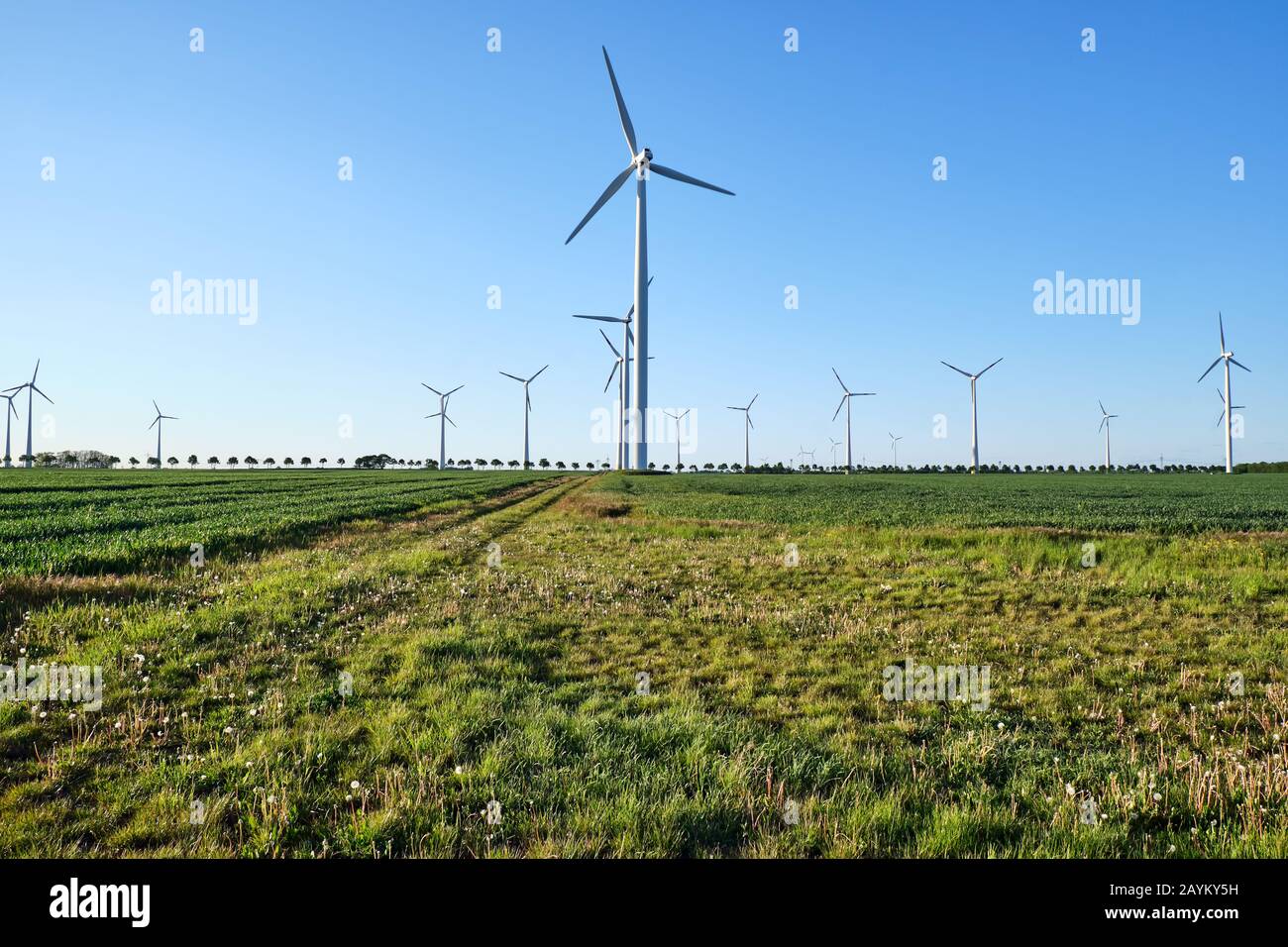 Moderne Windkraftanlagen mit Hintergrundbeleuchtung in Deutschland Stockfoto