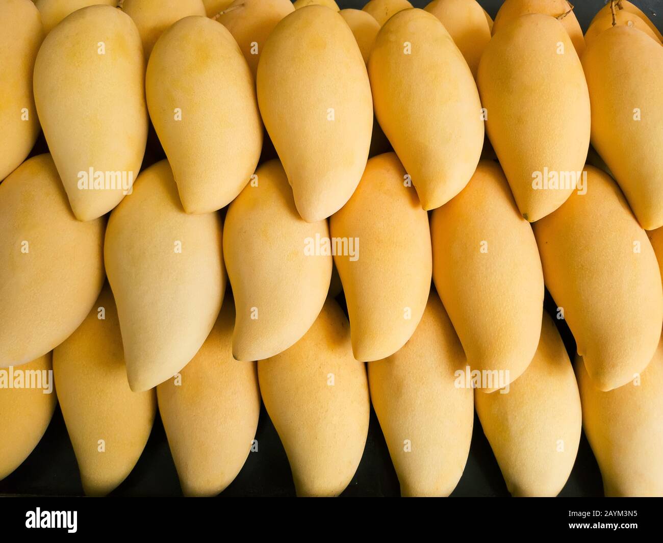 Frische Mango auf dem Markt mit guter Ordnung. Mango ist ein beliebtes tropisches Obst, auch zum Essen mit klebrigem Reis Stockfoto