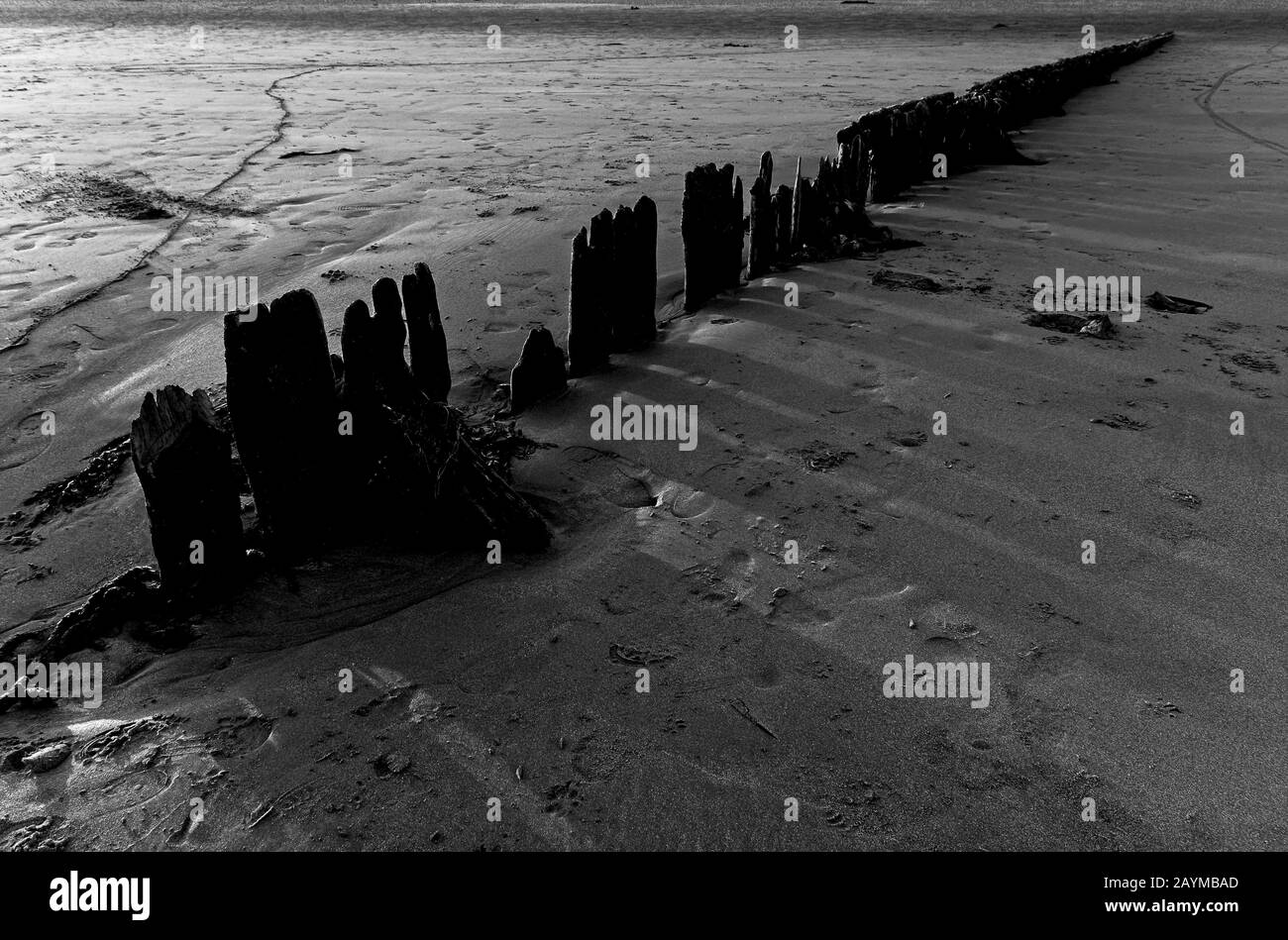 Verfallende Holzwellen brechen an einem sandigen Strand Stockfoto