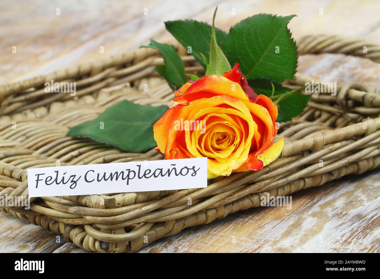 Papyrus Geburtstagskarte "Happiest Of Birthdays" – Mit Besticktem Aufnäher, Spanisch "Hola Amiga", 17,8 X 17,8 Cm