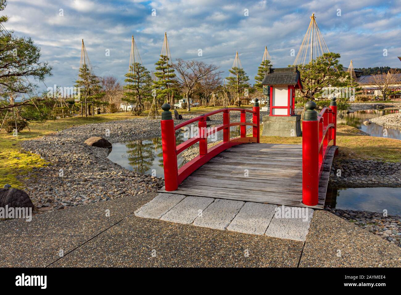 Traditionelle rote Holzbrücke, Teich und Kiefern mit Yukizuri-Seilen, Kurikarafudoji-Tempel, Tsubata, Japan. Stockfoto