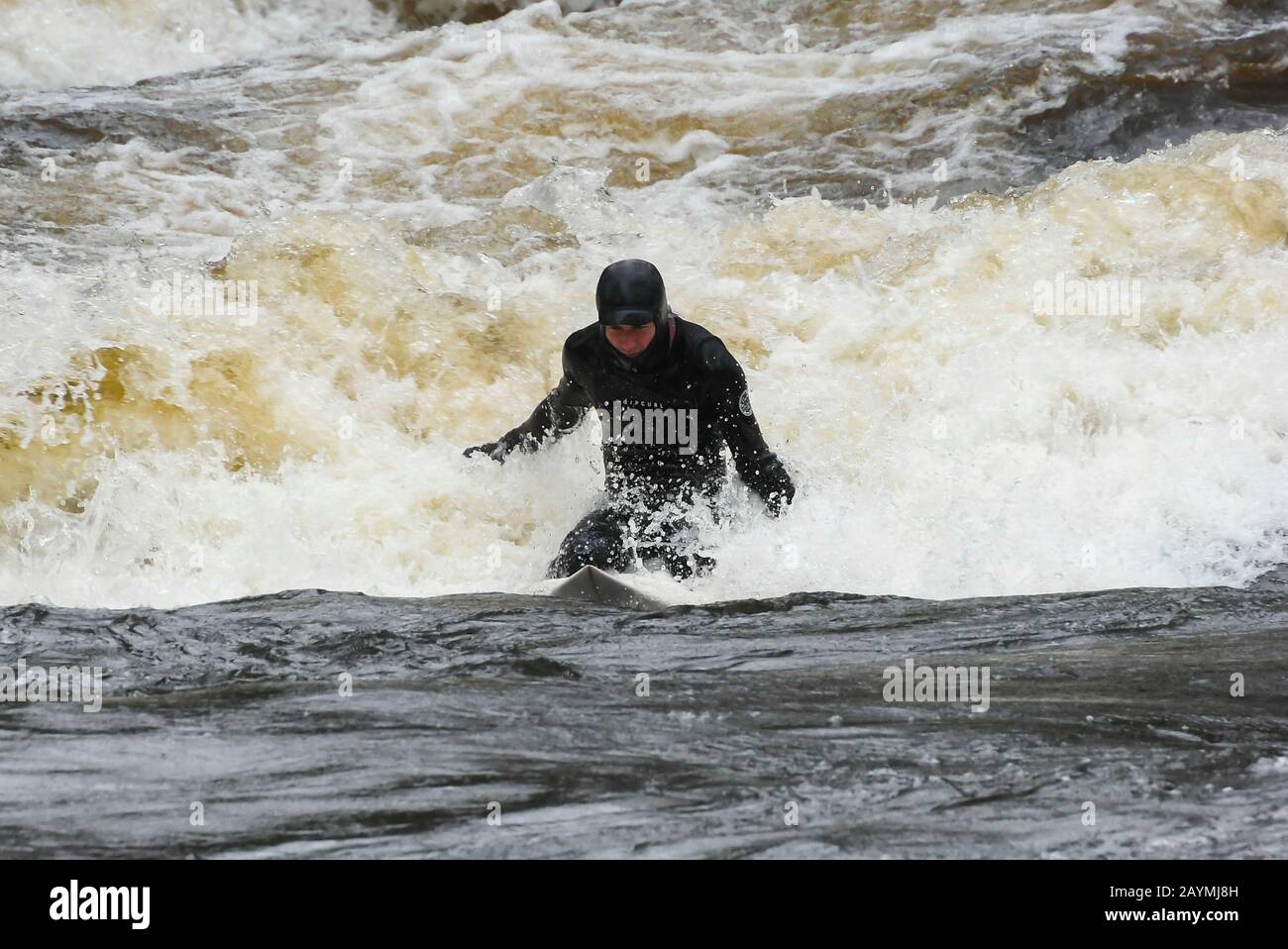 Newbridge, Dartmoor, Devon, Großbritannien. Februar 2020. Wetter in Großbritannien. Ein Surfer, der die extremen Bedingungen des Sturms Dennis Hochwasser genießt, während er die Stromschnellen auf dem Fluss Dart bei Newbridge am Dartmoor surft. Bildnachweis: Graham Hunt/Alamy Live News Stockfoto