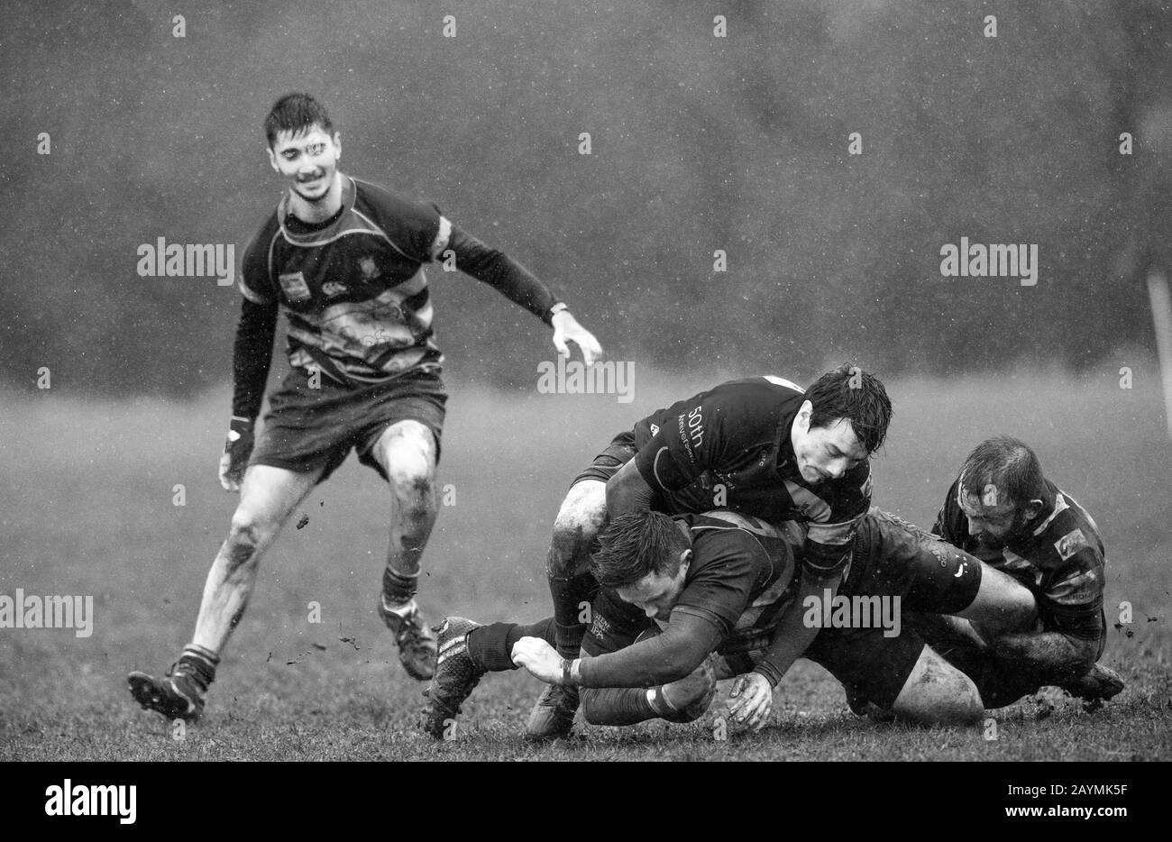 Amateur-Rugby-Union-Spieler spielen weiterhin bei treibendem Regen und starkem Wind. Stockfoto