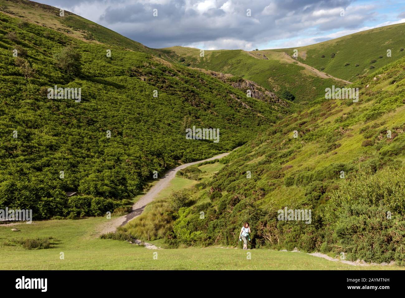 Ein einsamer Wanderer auf einem Weg im Carding Mill Valley auf dem Long Mynd in der Nähe von Church Stretton in den Shropshire Hills, England, Großbritannien Stockfoto