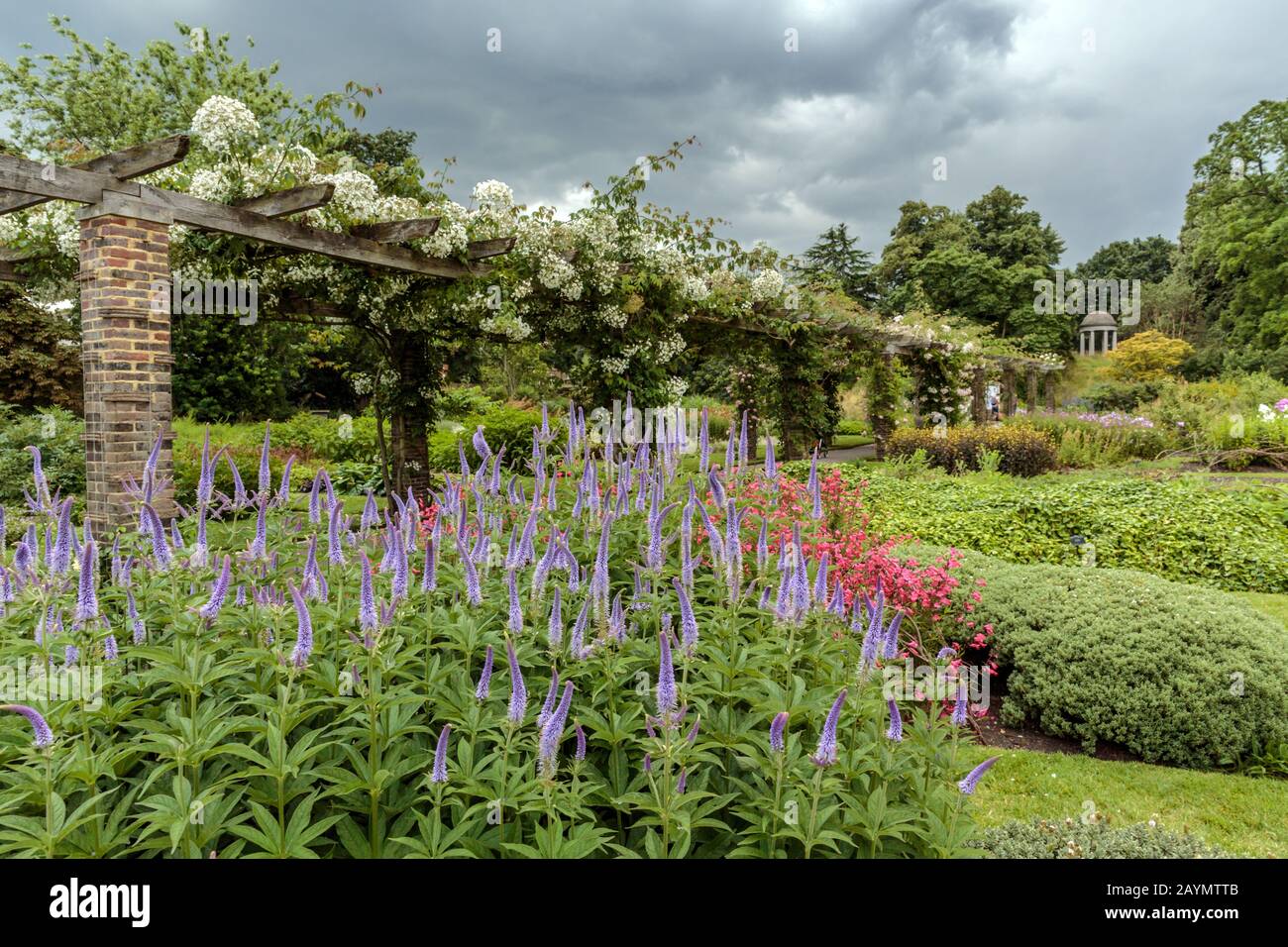 Blumenbeete und Pergola, The Royal Botanic Gardens, Kew, Surrey, London Borough of Richmond upon Thames, England. Stockfoto