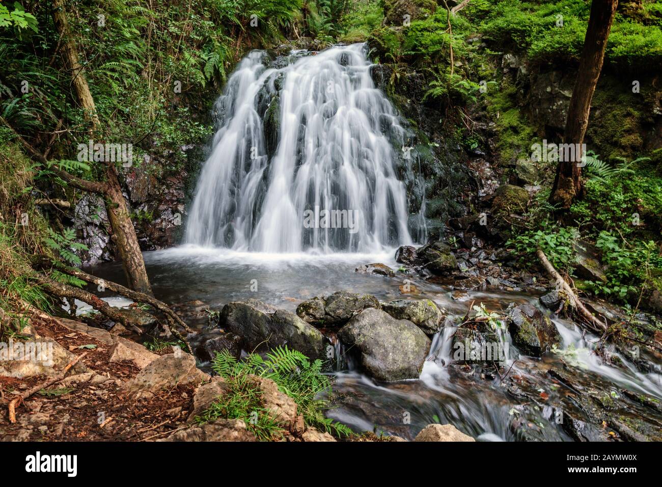 Der Tom Gill Wasserfall liegt unterhalb des malerischen Tarn Huws Beauty Spot, Lake District, Cumbria, England, Großbritannien Stockfoto