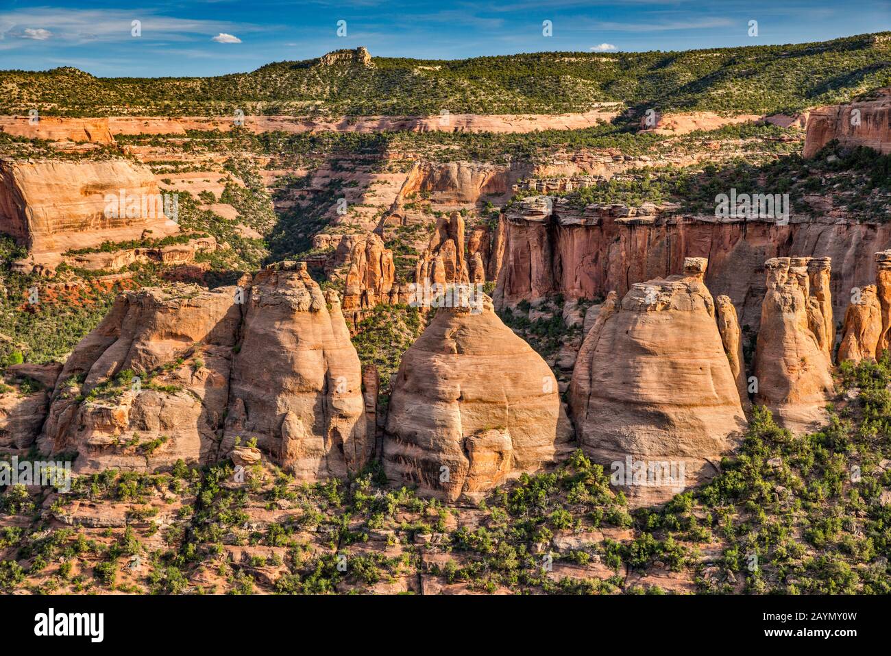 Koksöfen Felsformationen, Colorado National Monument, Colorado, USA Stockfoto