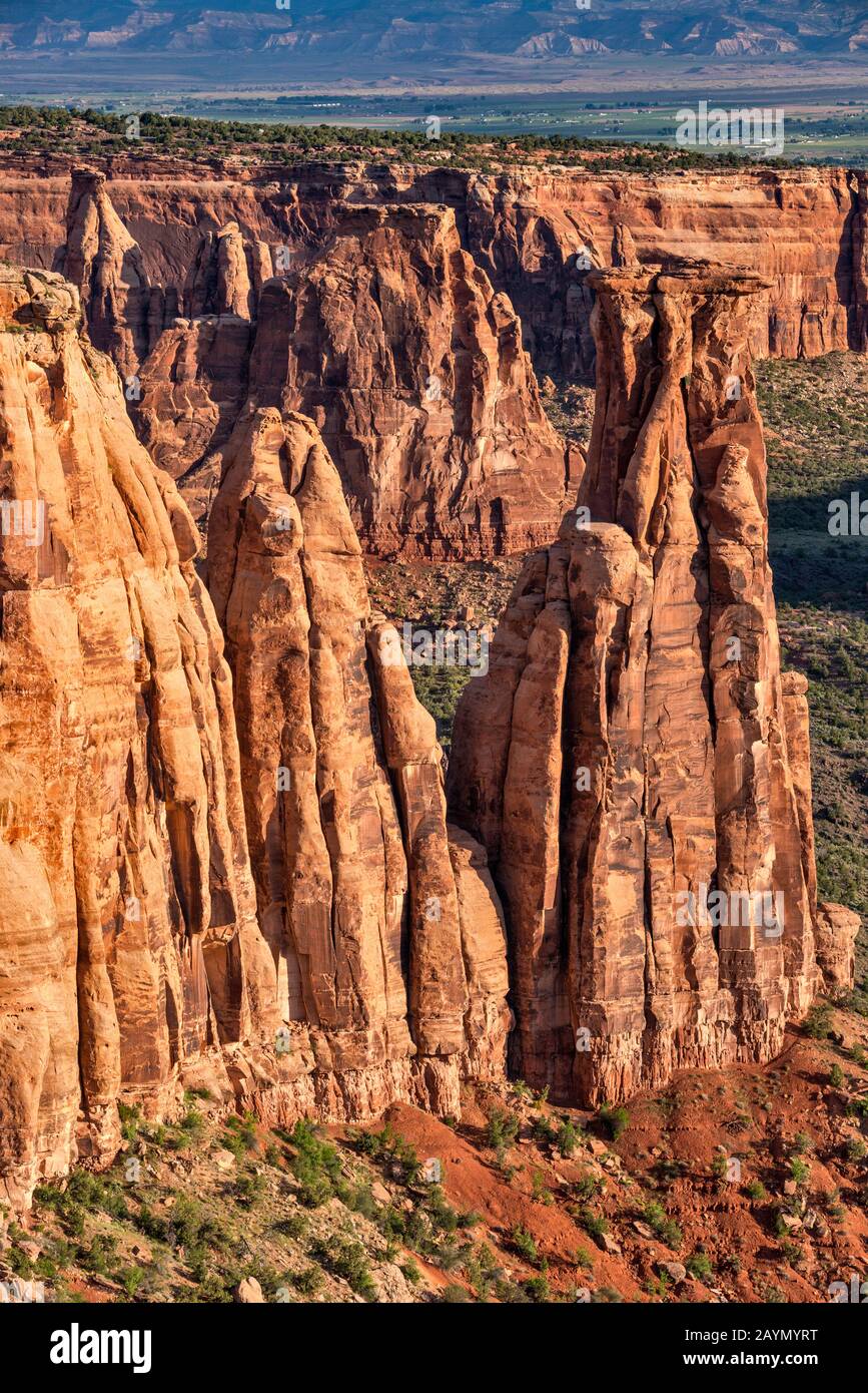 Felsformationen am Monument Canyon, Colorado National Monument, Colorado, USA Stockfoto