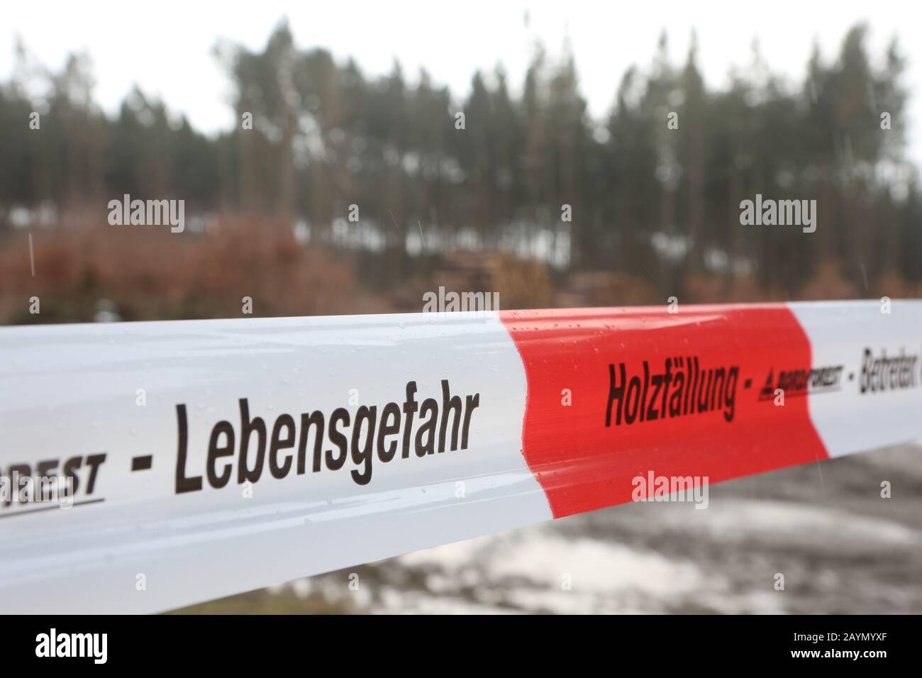 Wernigerode, Deutschland. Februar 2020. Vor einem Holzladen in Drei-Annen-Hohne hängt flatternd Band mit der Aufschrift "Lebensgefährdung Holzfällung". Sturmtorm 'Sabine' hat in den Harzwäldern großen Schaden angerichtet. Kredit: Matthias Bein / dpa-Zentralbild / dpa / Alamy Live News Stockfoto