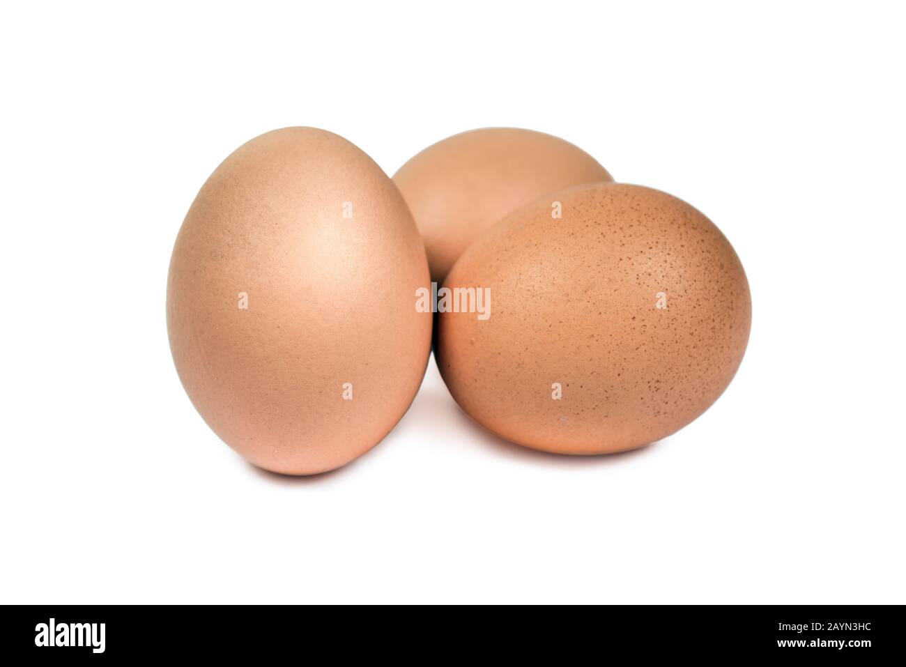 Schließen Sie eine Gruppe von drei Eiern, die auf weißem Hintergrund mit einem Beschneidungspfad isoliert sind. Braune Eier ausgeschnitten. Stockfoto