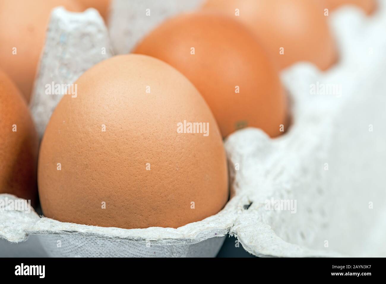 Braune Eier in der Makroansicht des Papppakets Stockfoto