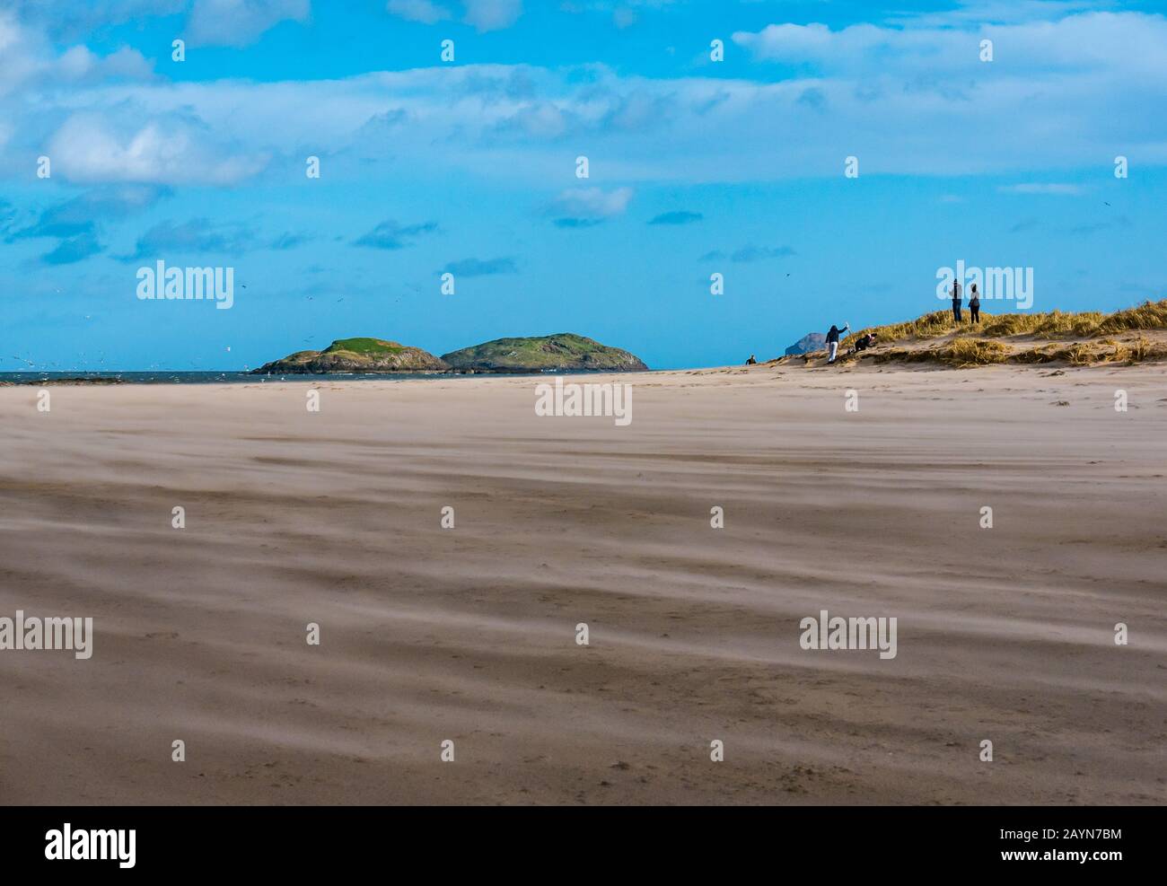 Yellowcraig Beach, East Lothian, Schottland, Großbritannien. Februar 2020. Wetter in Großbritannien: Sturm Dennis Wind fegt bei Ebbe am Firth of Forth Coastline den Sand über den Strand Stockfoto