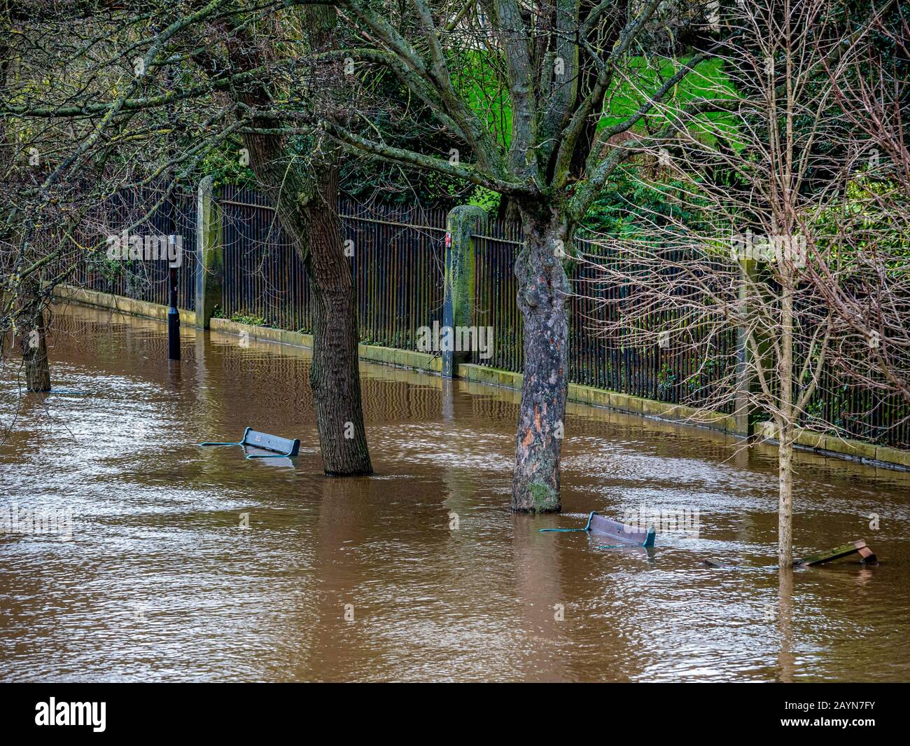 Überschwemmung in York, Großbritannien aufgrund des Sturms Dennis. Untergetauchte Flussuferspaziergänge und Bänke am Fluss Ouse. Februar 2020. Stockfoto