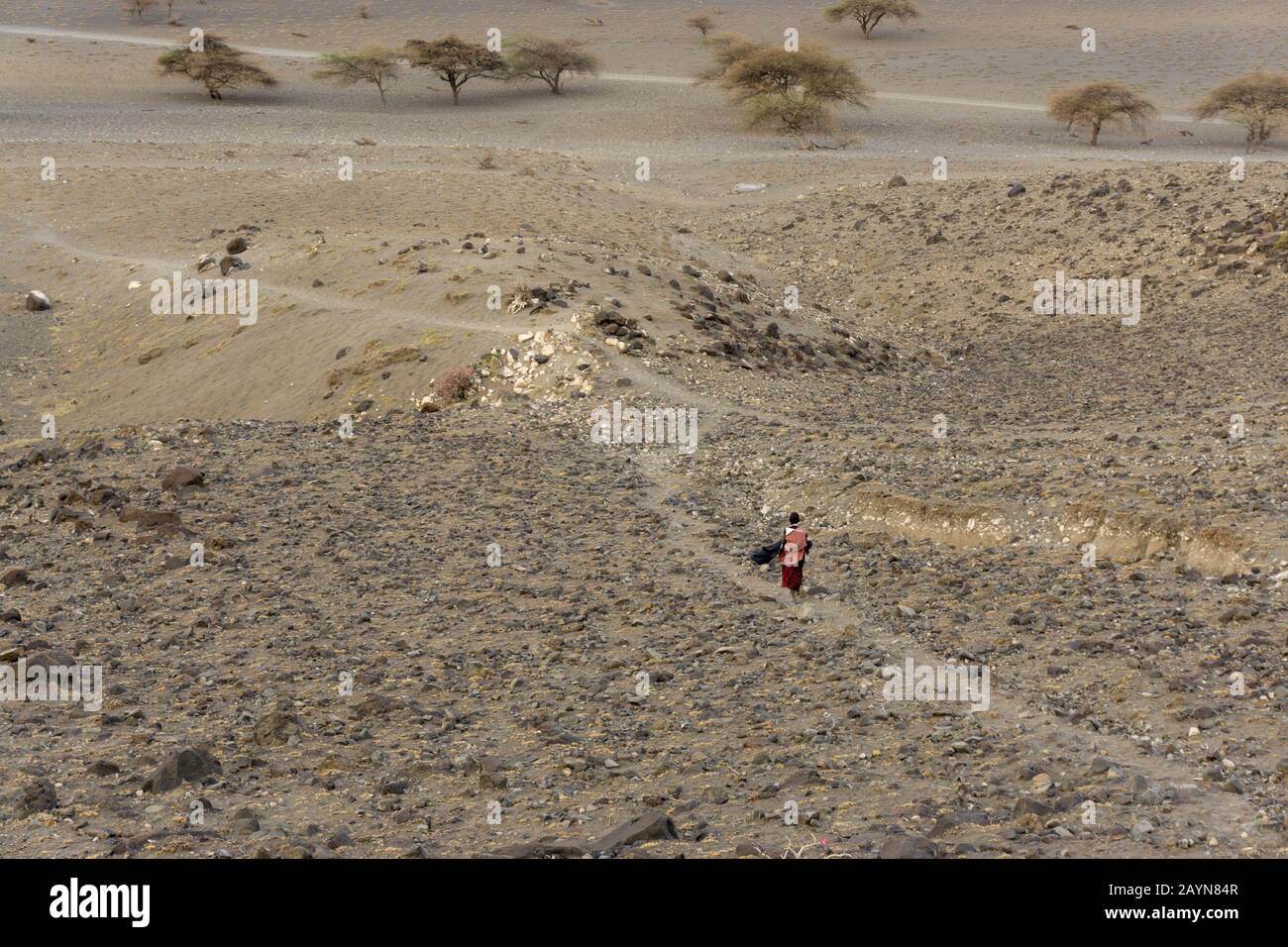 Unbestimmter Maasai-Junge läuft in der Gegend von Ngare Sero in der Nähe des Natron-Sees in Tansania, Afrika Stockfoto