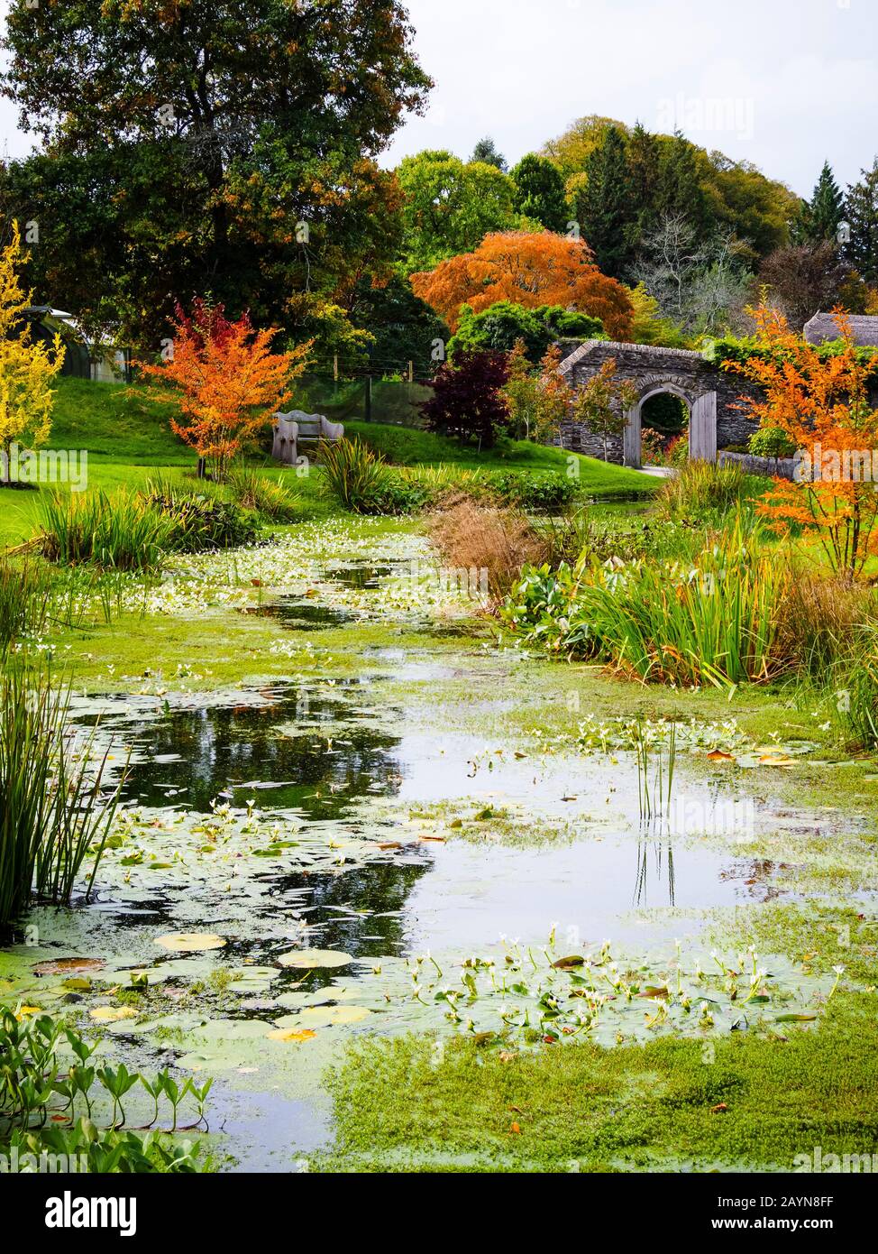 Herbstfarbe rund um den Arboretumsee am Gartenhaus. Ummauerter Garten im Hintergrund Stockfoto