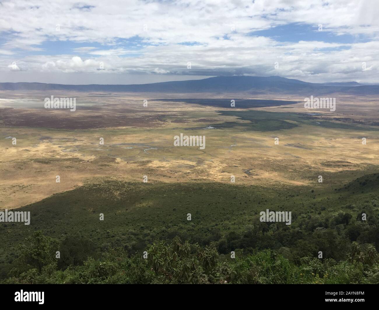 Panoramablick auf den Ngorongoro-Nationalpark, Tansania, Afrika Stockfoto