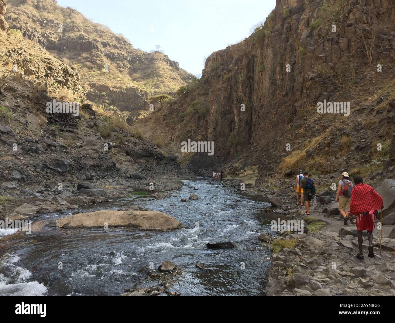NGARE-SERO. Tansania - 20. AUGUST 2019: Der Touristen amd Maasai geht am Fluss Ngare Sero in der Nähe des Natron-Sees in Tansania, Afrika Stockfoto