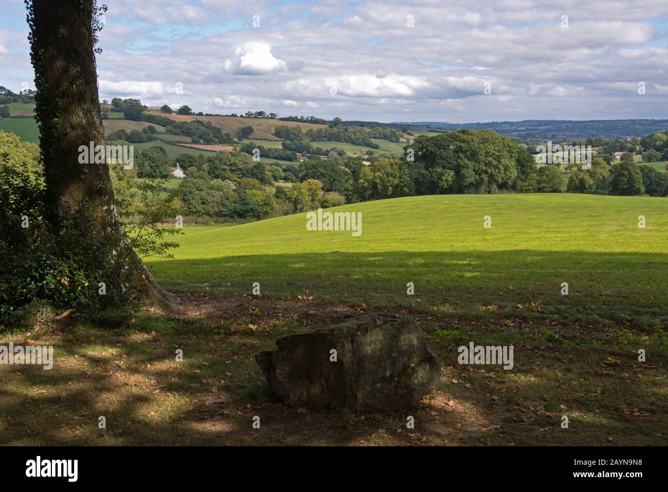 Blick über die offene Landschaft von Burrow Farm Gardens (auch bekannt als East Devons Secret Garden) in der Nähe von Axminster in Devon, England, Großbritannien Stockfoto
