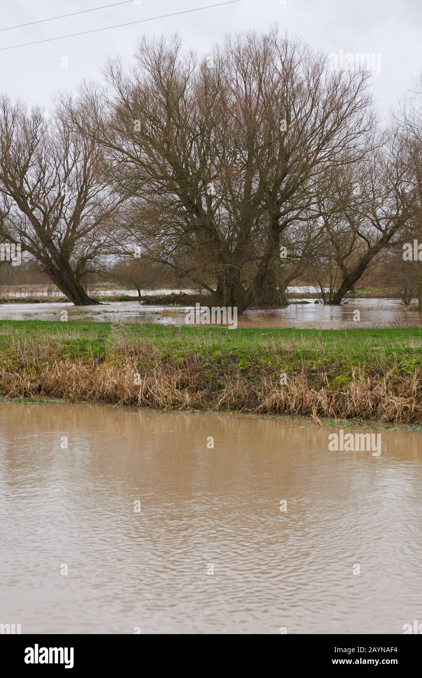 Große Gebiete des Landes wurden im Sturm Dennis im Frühjahr 2020, England, Großbritannien, GB überschwemmt. Stockfoto