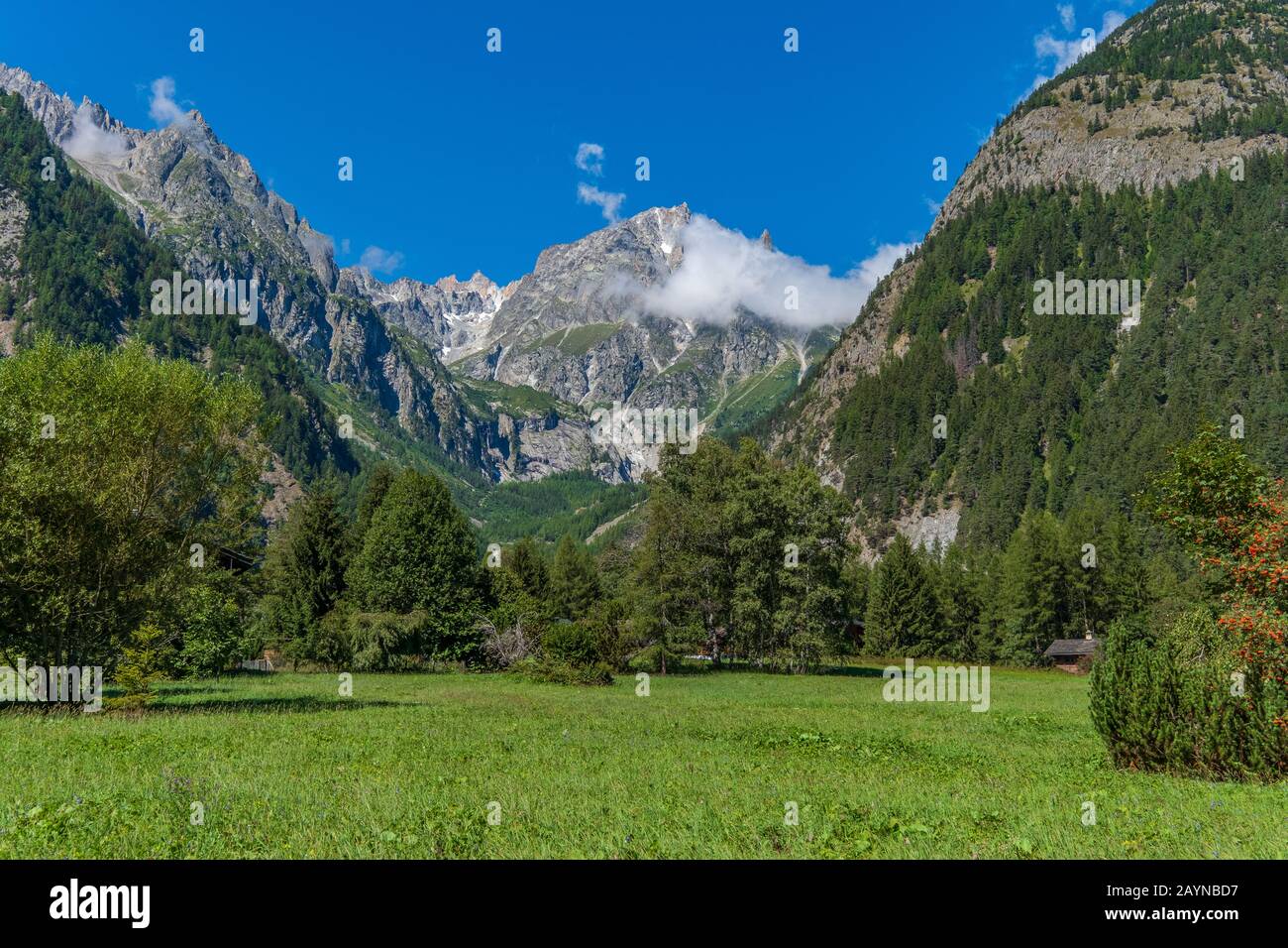 Blick auf die Schweizer Alpen mit üppigem Grün und Bäumen im Vordergrund Stockfoto Blick auf die Schweizer Alpen mit üppigem Grün und Bäumen im Vordergrund Stockfoto