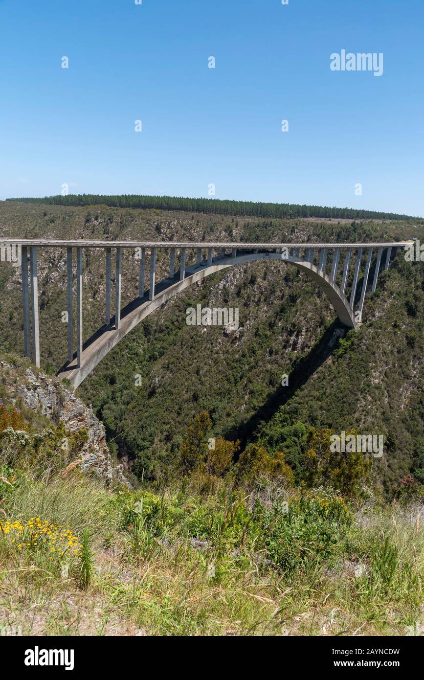 Bloukrans Bridge, Ostkaper, Südafrika. Dezember 2019. Bloukraans Brücke, die eine Mautstraße 216 Meter über der Schlucht durch die Gartenroute in führt Stockfoto