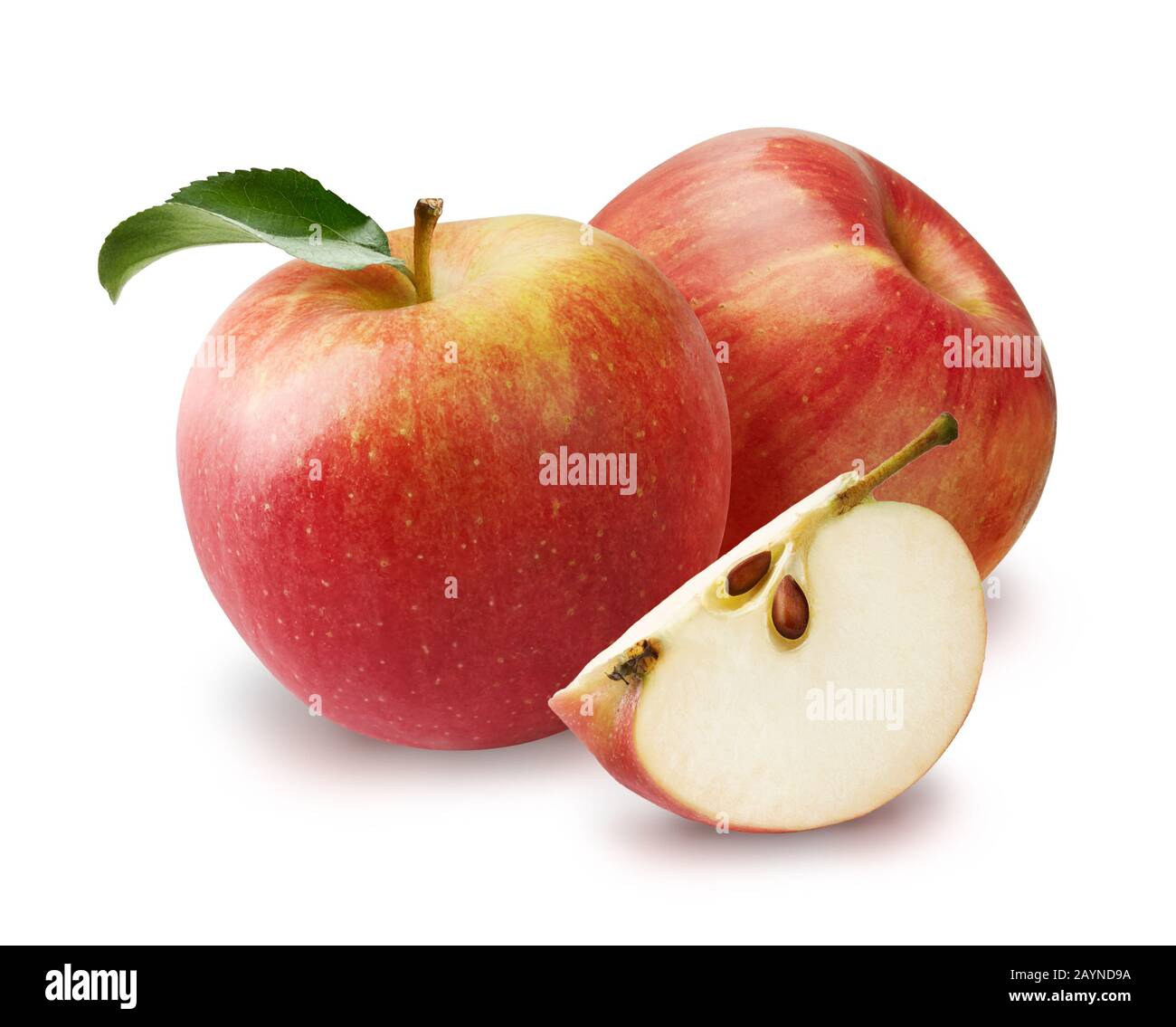 Zwei Äpfel mit schönen Apfelscheiben isoliert auf weißem Hintergrund. Stockfoto