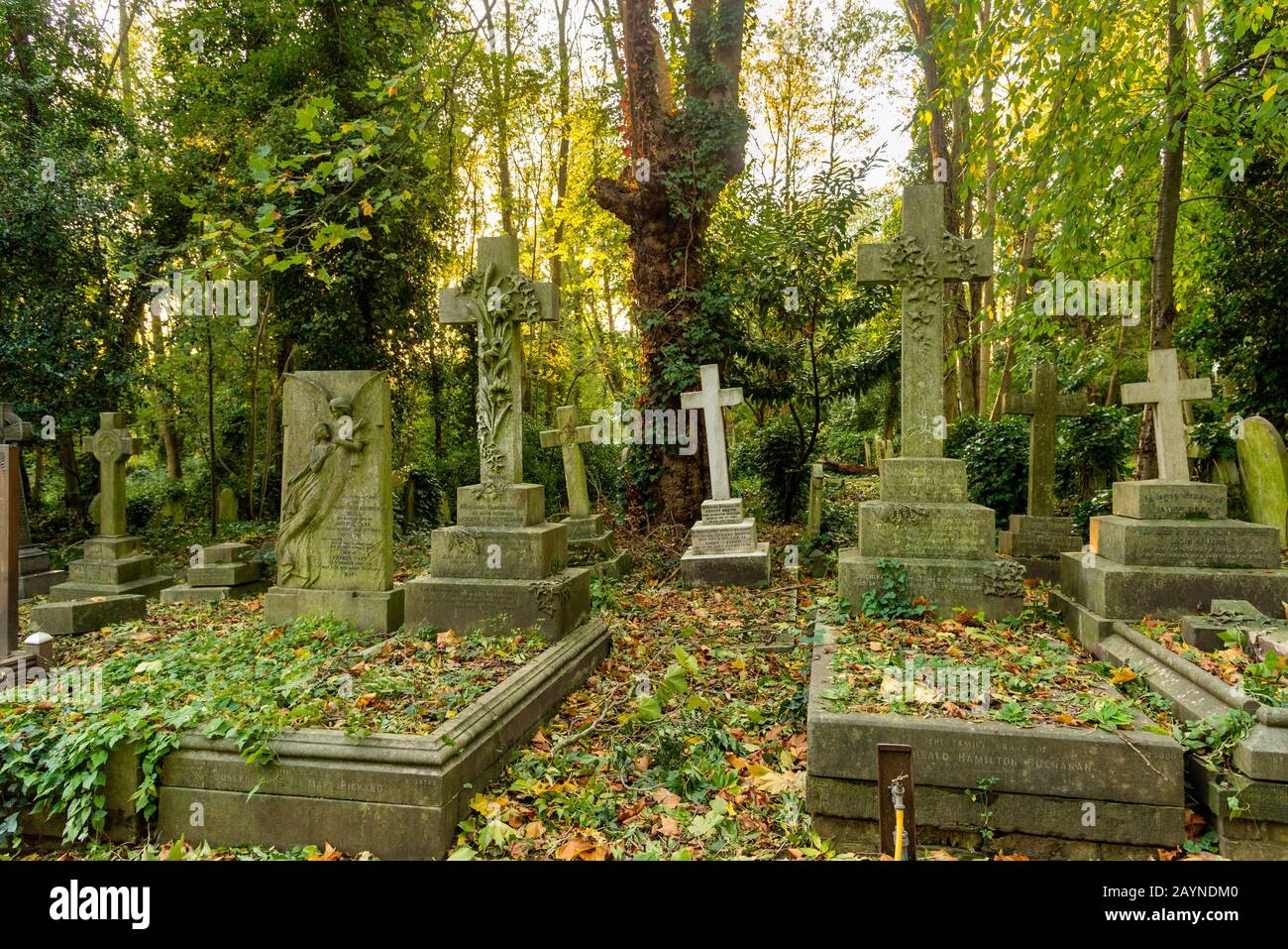 Alte Grabsteine auf dem Highgate Cemetery, London, Großbritannien Stockfoto