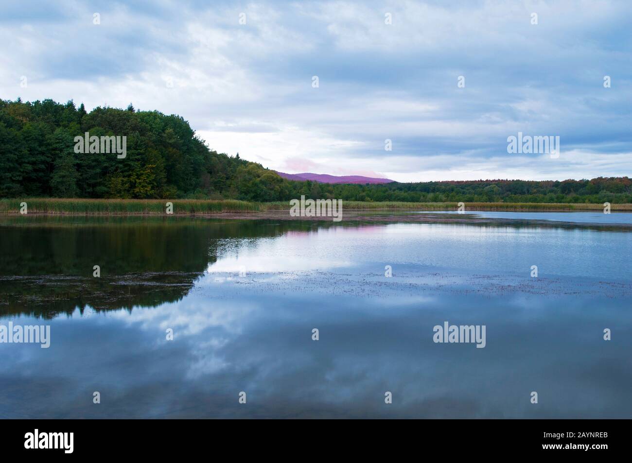 Waldsee im Herbst mit Wald im Hintergrund Stockfoto