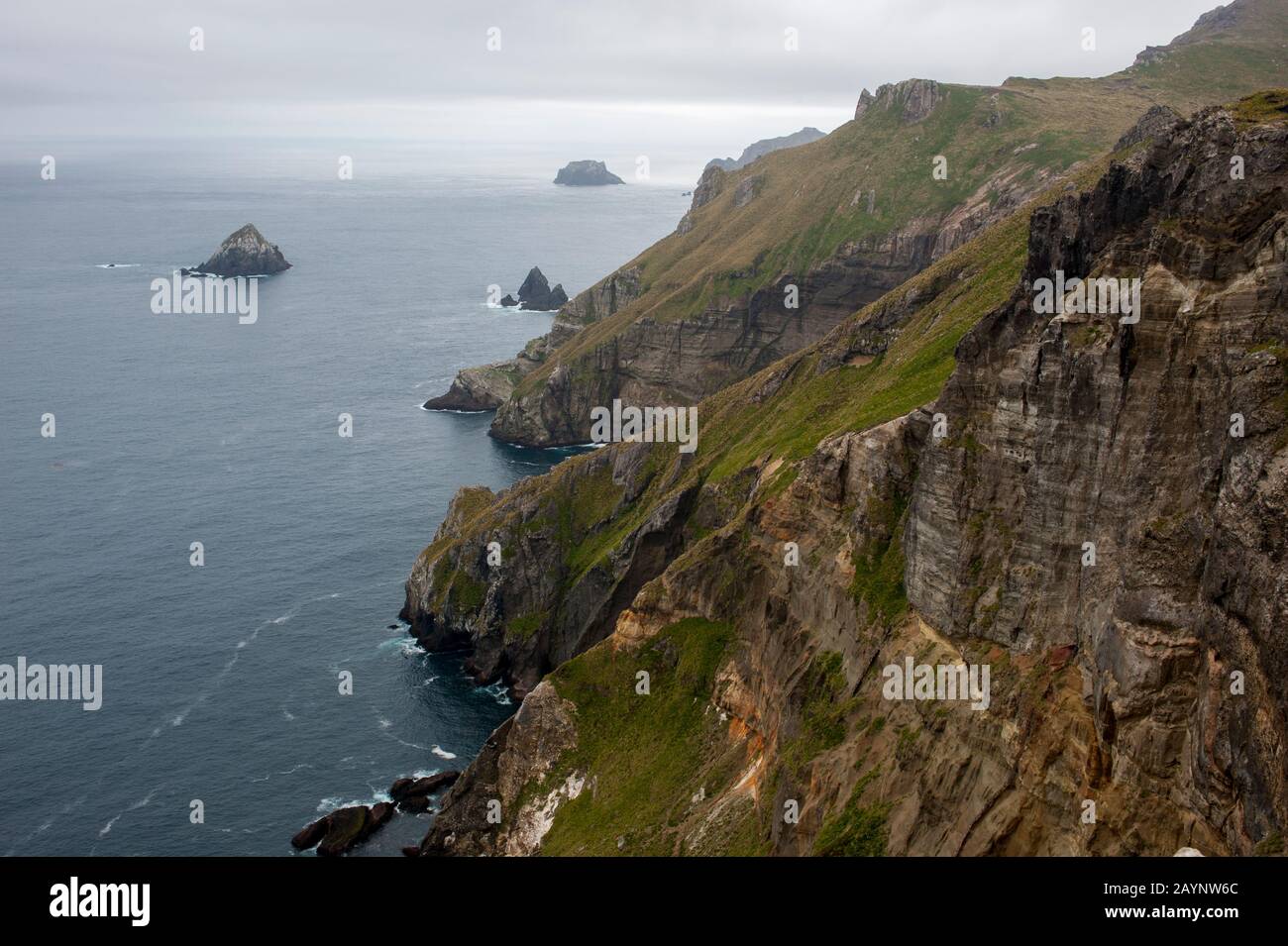 Die Küstenlinie von Campbell Island, einer subantarktischen Insel in der Gruppe Campbell Island, Neuseeland. Stockfoto