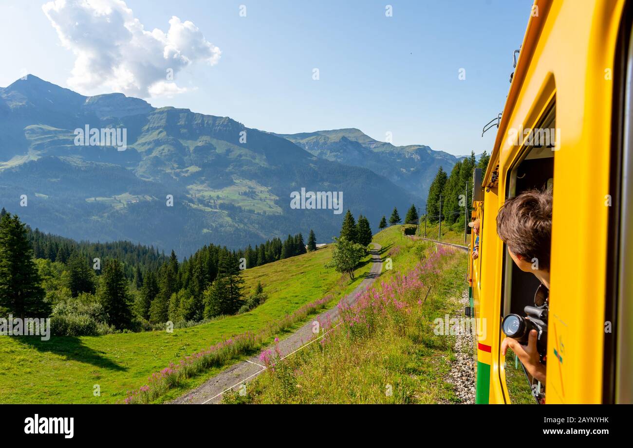Schöne Schweizer Alpen Blick auf den gelben Zug der Wengernalpbahn von Wengen zur kleinen Scheidegg mit dahinter liegenden Jungfraujochspitzen, Schweiz. Stockfoto