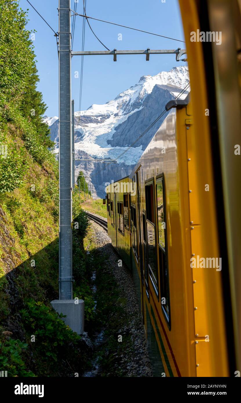 Schöne Schweizer Alpen Blick auf den gelben Zug der Wengernalpbahn von Wengen zur kleinen Scheidegg mit dahinter liegenden Jungfraujochspitzen, Schweiz. Stockfoto