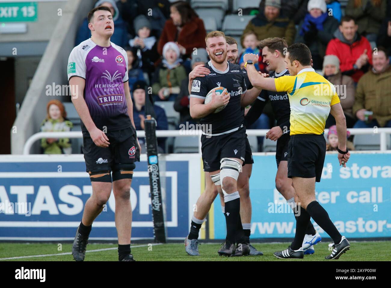 Newcastle, Großbritannien. Januar 2019. Newcastle UPON TYNE, ENGLAND - 16. FEBRUAR Callum Chick von Newcastle Falcons feiert seinen Versuch während des Greene King IPA Championship Matches zwischen Newcastle Falcons und Cornish Pirates im Kingston Park, Newcastle am Sonntag, 16. Februar 2020. (Credit: Chris Lishman/MI News) Credit: MI News & Sport /Alamy Live News Stockfoto