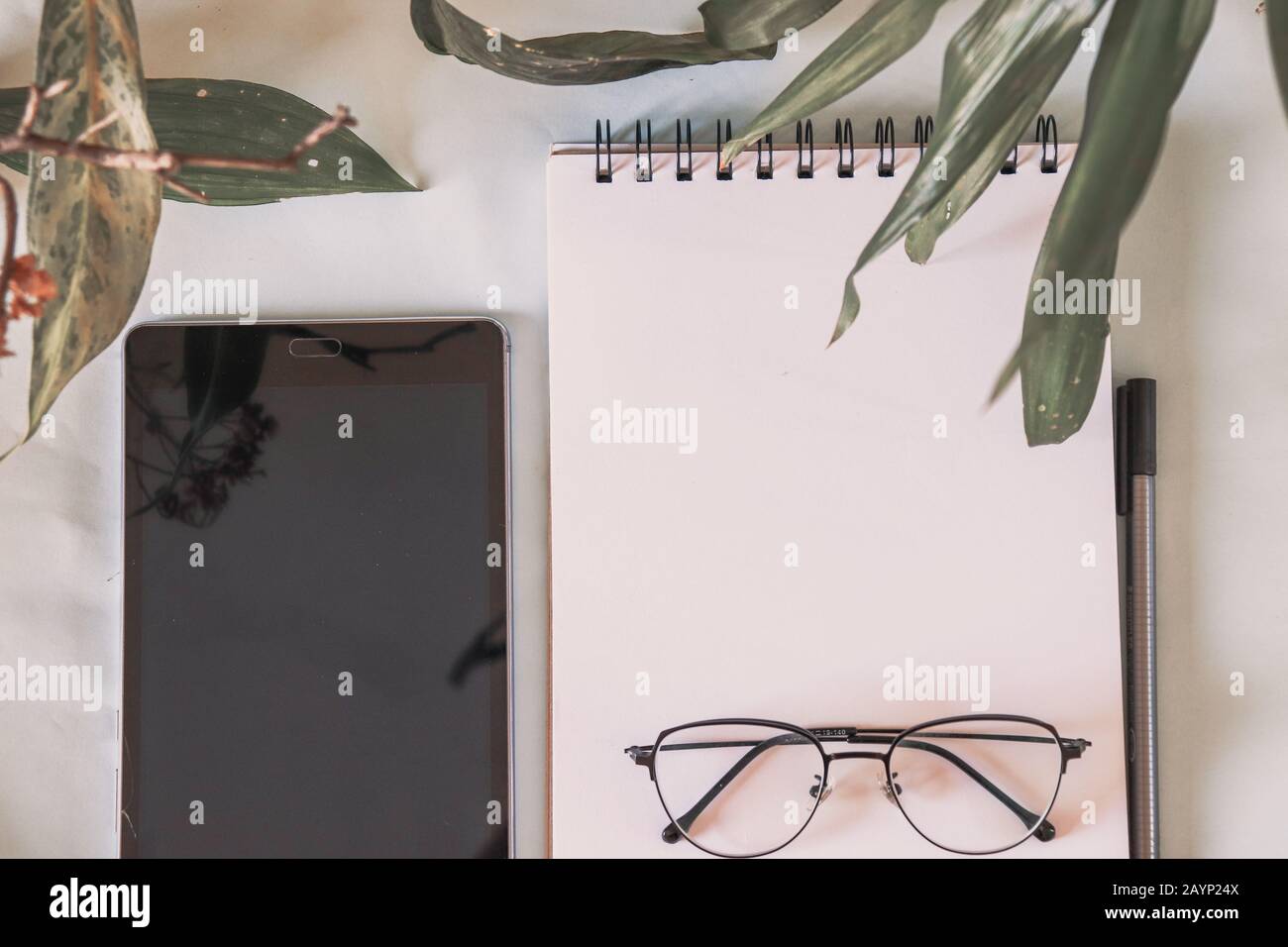 Hausanlage im Büroschreibtisch, um einen Hauch von Natur am Arbeitsplatz zu zeigen, um einen beruhigenden und gesunden Arbeitsplatz zu schaffen Stockfoto