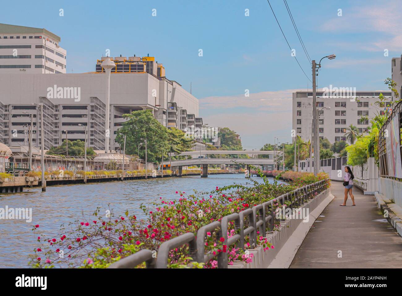Blick auf die berühmten Klong- oder Kanalwasserstraßen von Bangkok City, die in weichen Pastelltönen gedreht wurden, um das Konzept des Sommer- und Anime-Themas zu zeigen Stockfoto